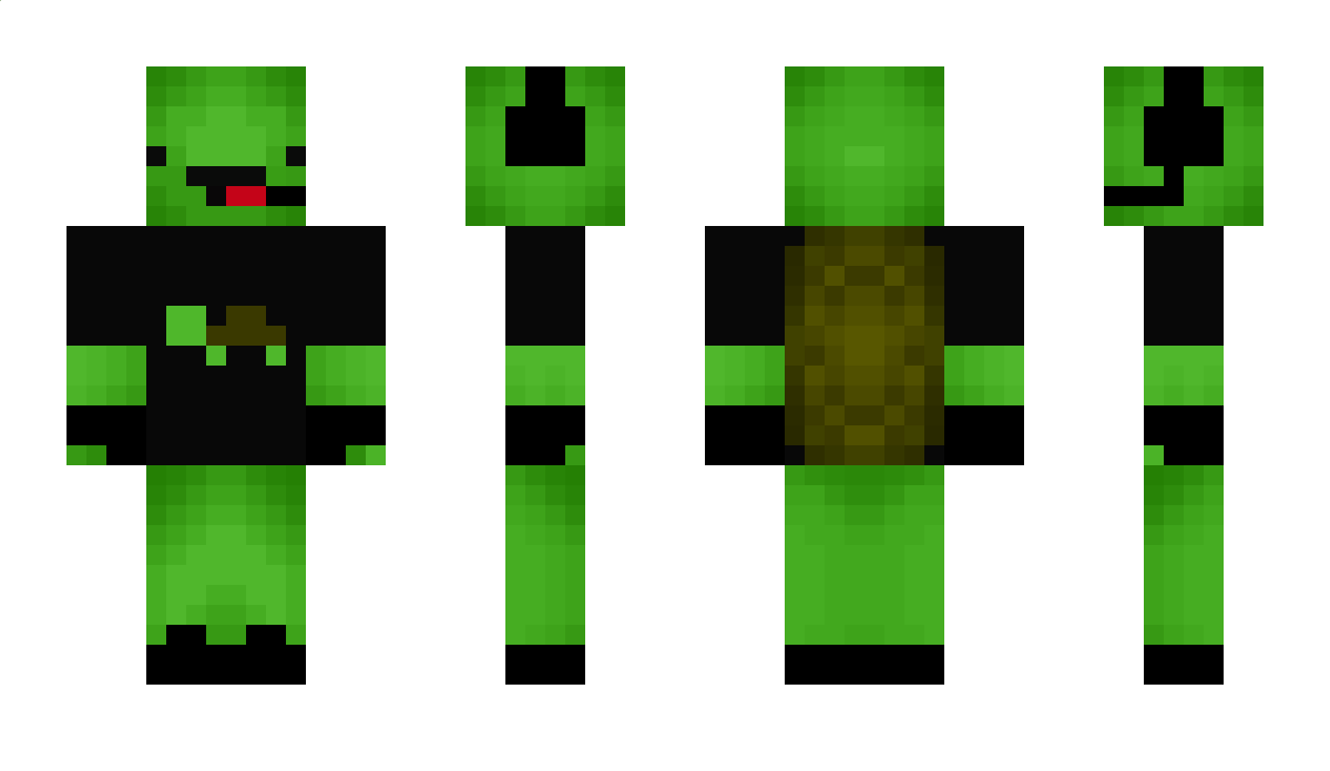 GamerTurtle_123 Minecraft Skin