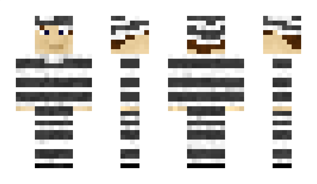 Narly Minecraft Skin