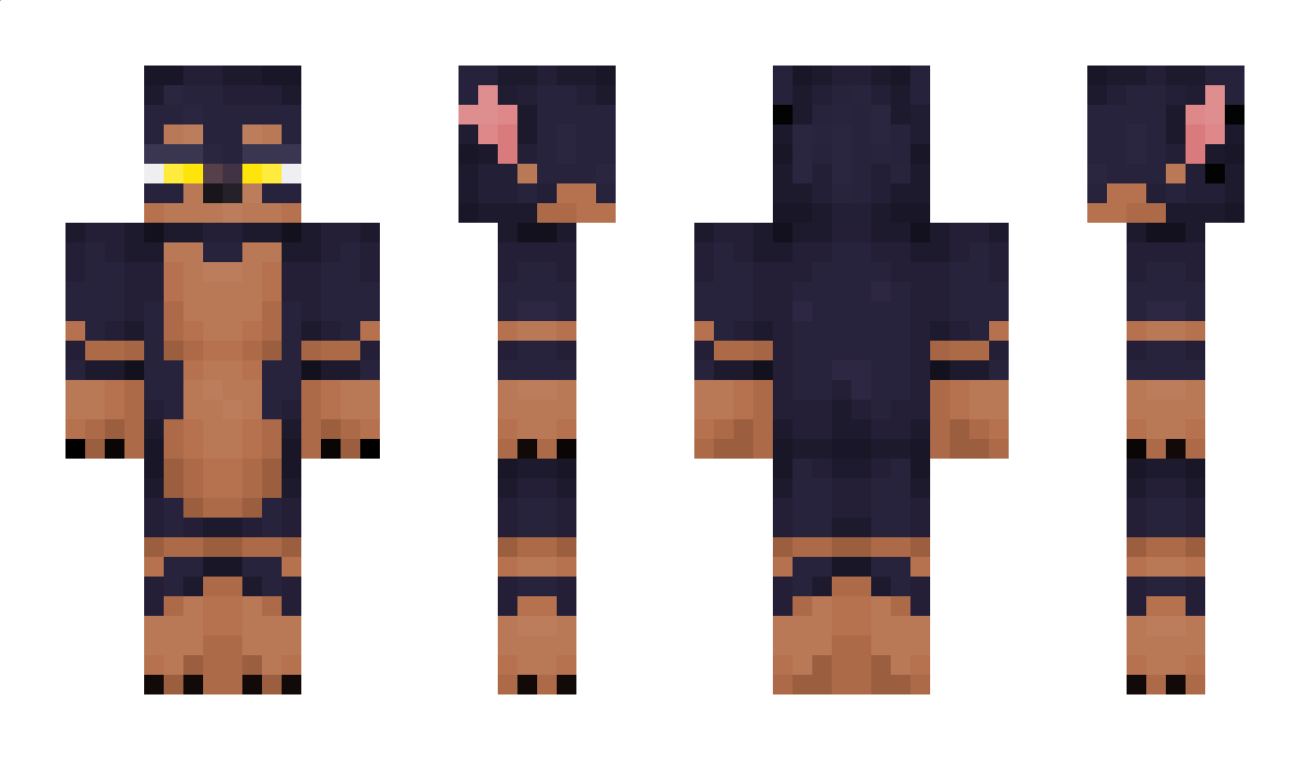 StrayDobe Minecraft Skin