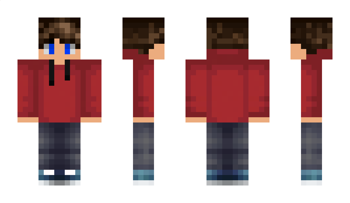 bartas893 Minecraft Skin