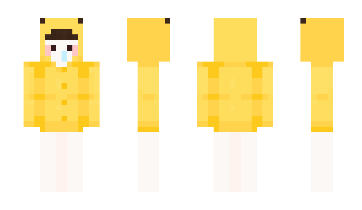 _Bbang_Bbang_ Minecraft Skin