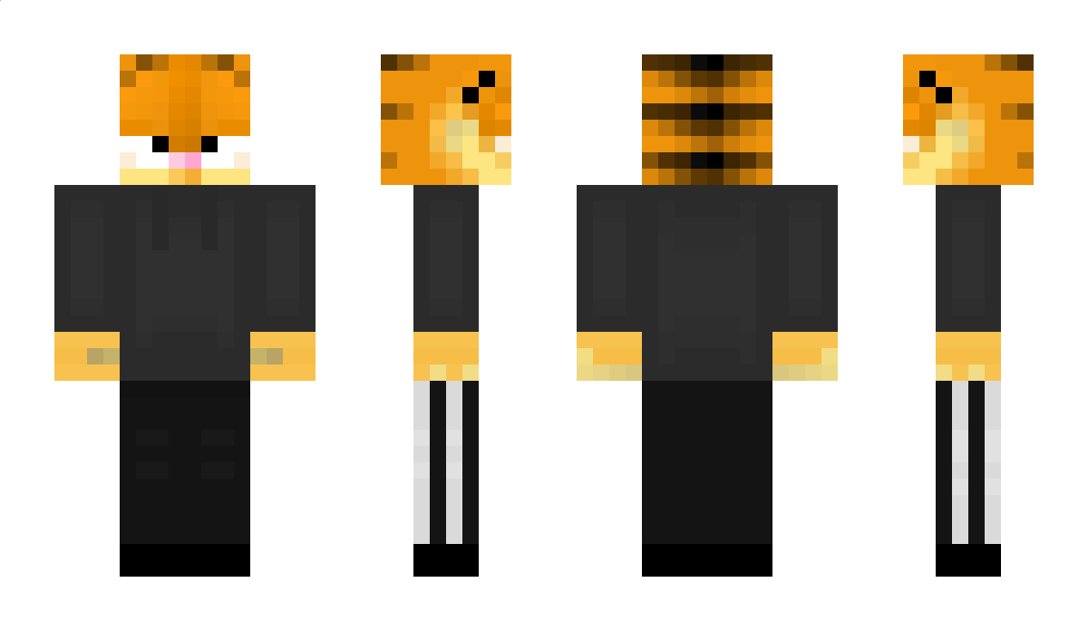 Chochel Minecraft Skin