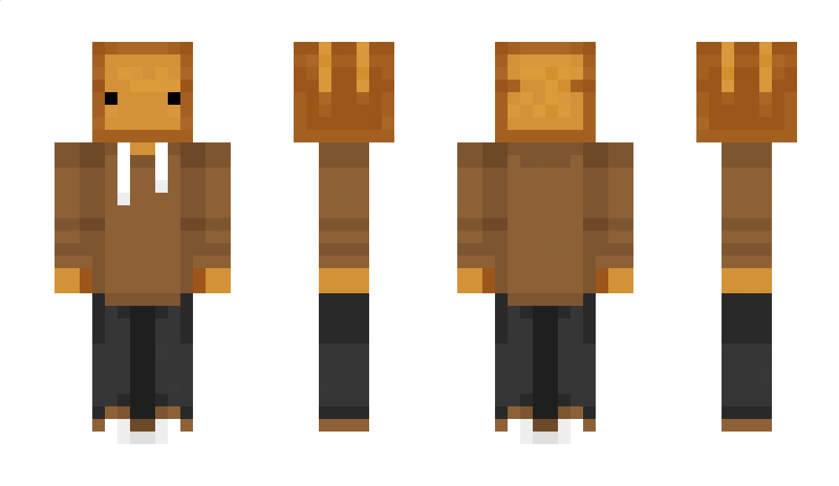 LostToastt Minecraft Skin