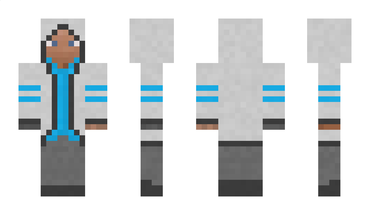 FuryAnimation Minecraft Skin