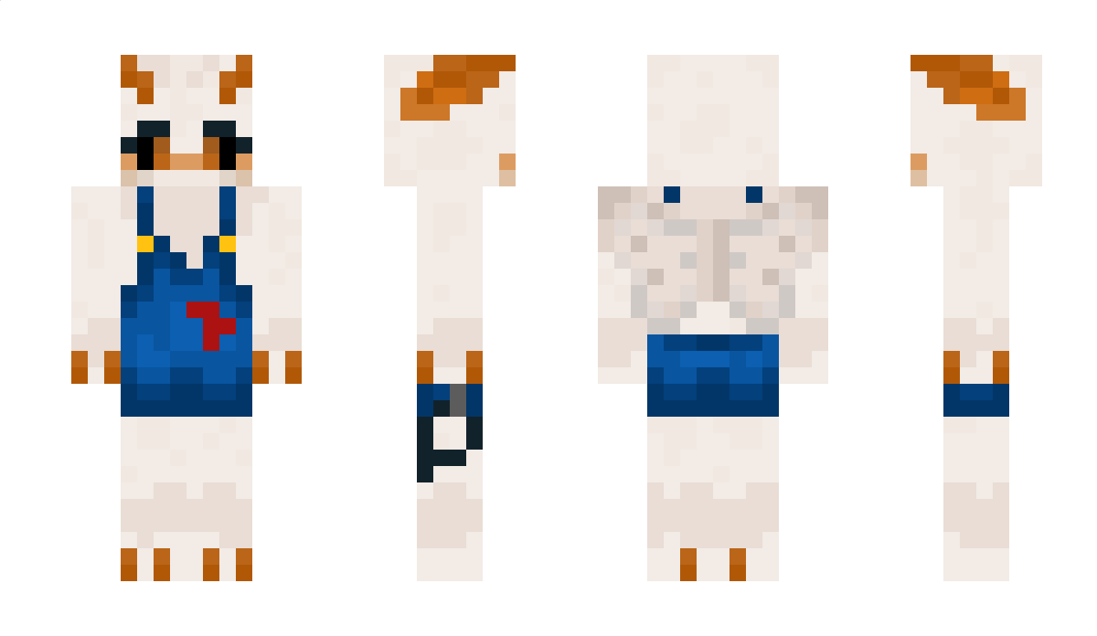 DrGahora Minecraft Skin