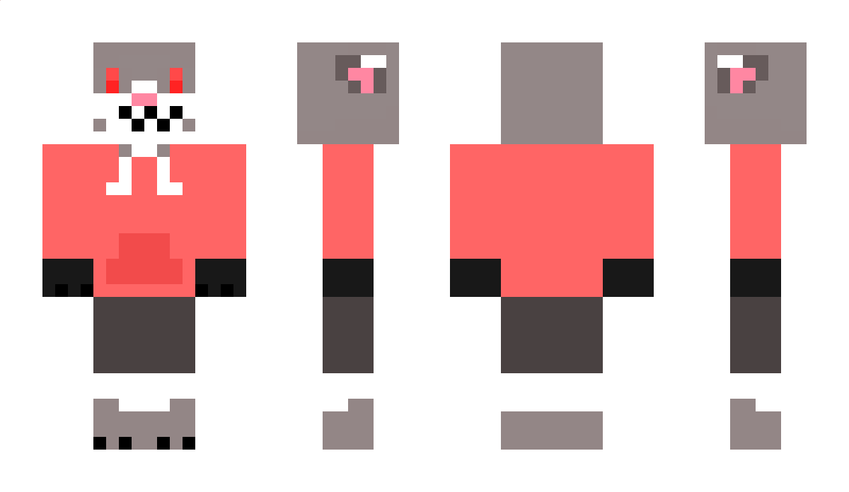 Raggykat Minecraft Skin