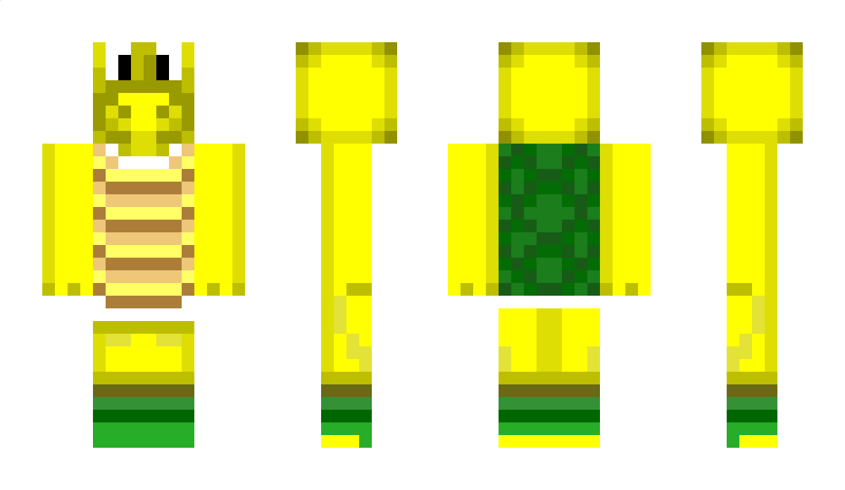 Koopa Minecraft Skin