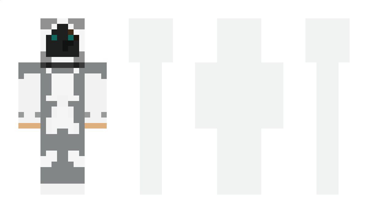 Franek10 Minecraft Skin