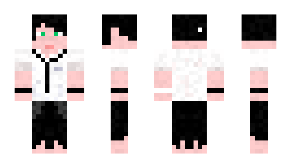 Starrynight Minecraft Skin