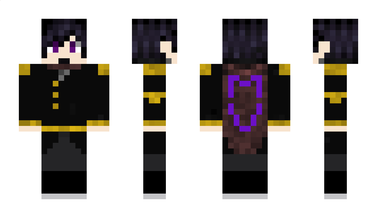 Capetian Minecraft Skin