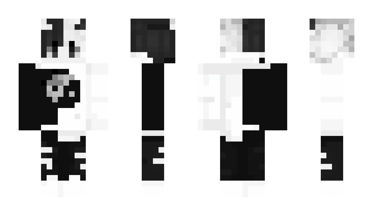 strangy12 Minecraft Skin