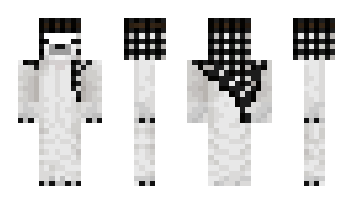 Hatasiz Minecraft Skin