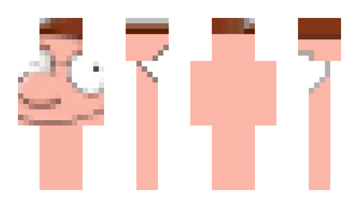 Duck353 Minecraft Skin