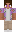 Litsword06 Minecraft Skin