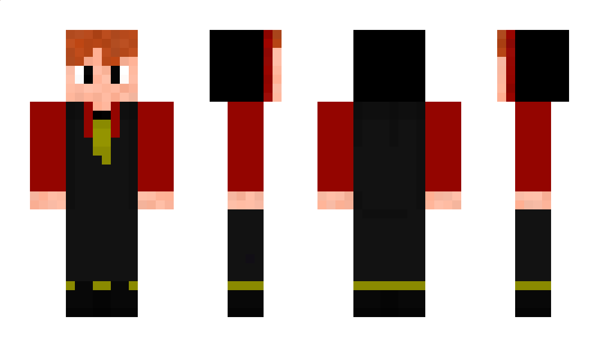 DerLMeister Minecraft Skin