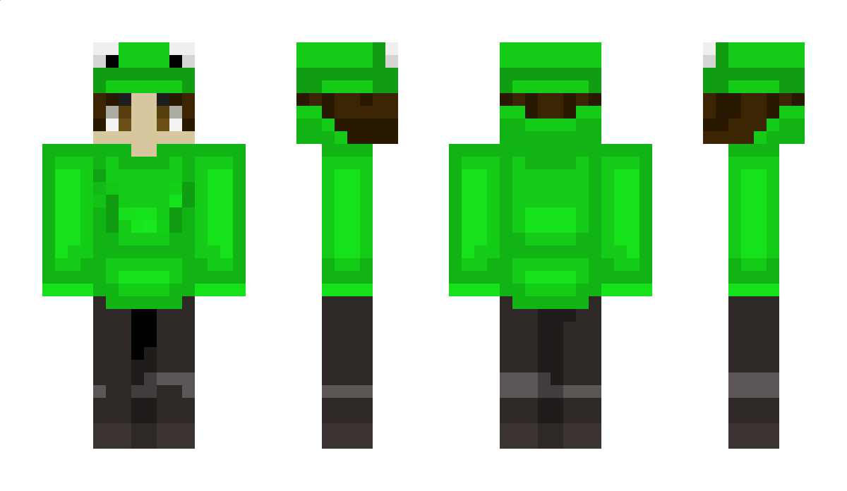 NovaLowks Minecraft Skin