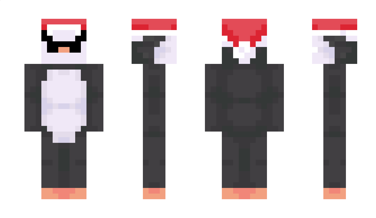 Enderboy10000 Minecraft Skin