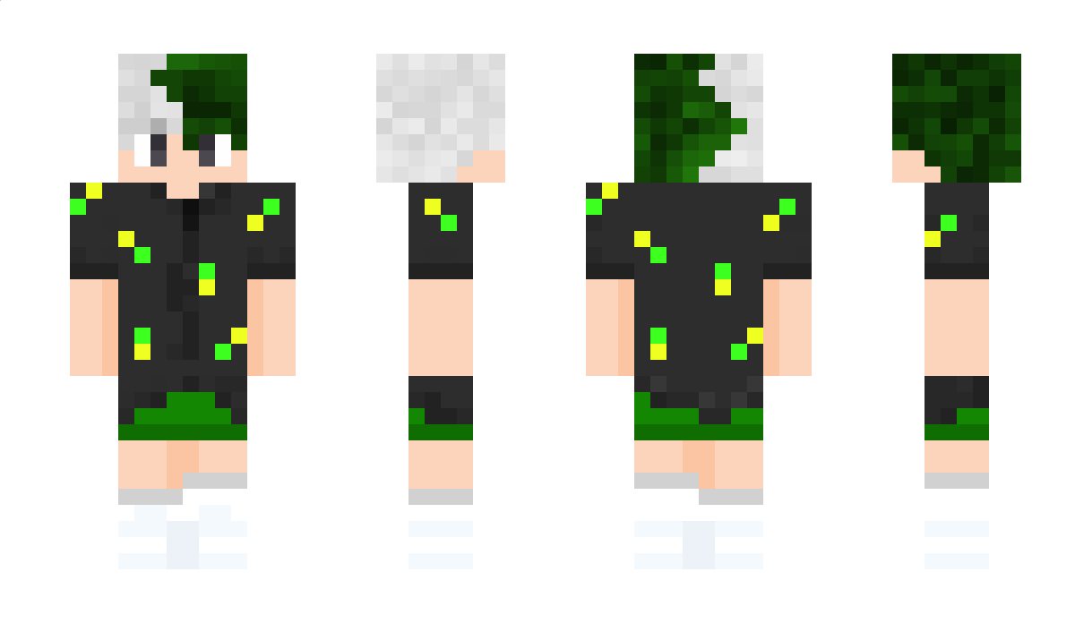 aalee Minecraft Skin