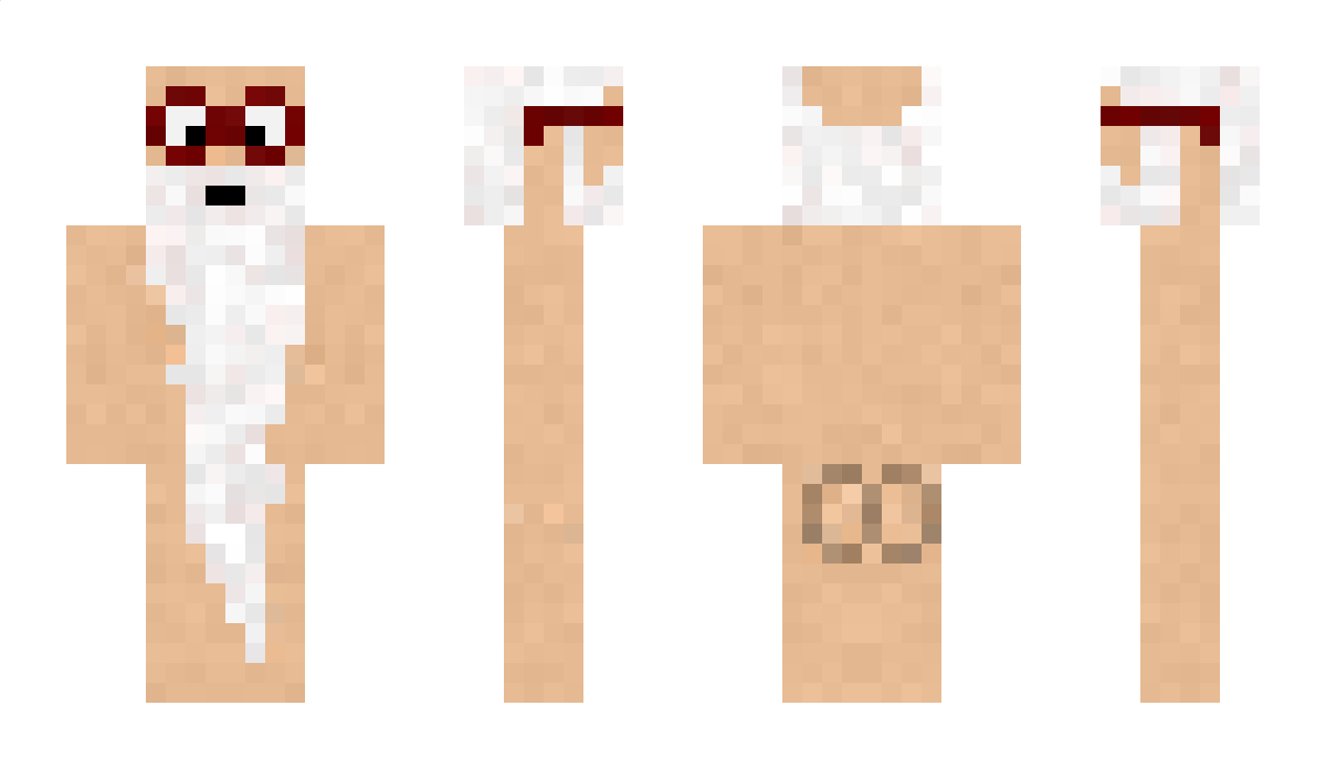 heytails Minecraft Skin