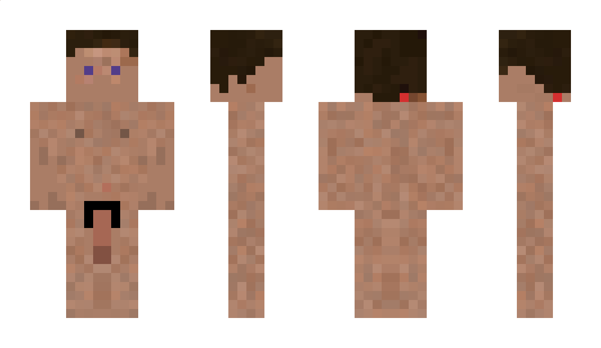 691 Minecraft Skin