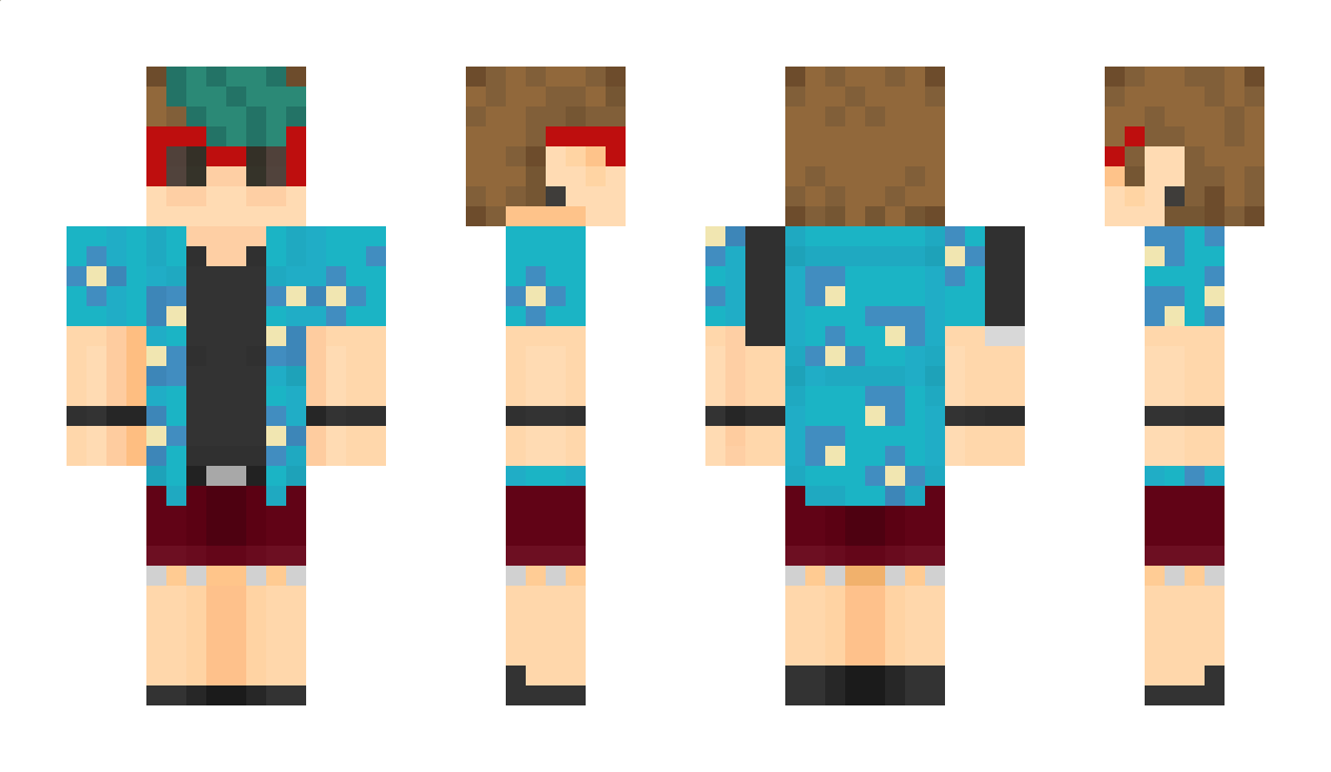 Quinnithan Minecraft Skin