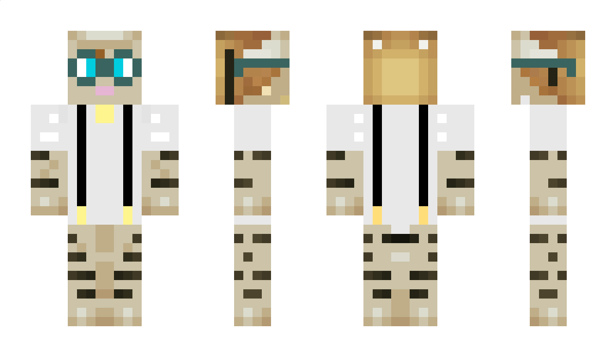 Virgina Minecraft Skin