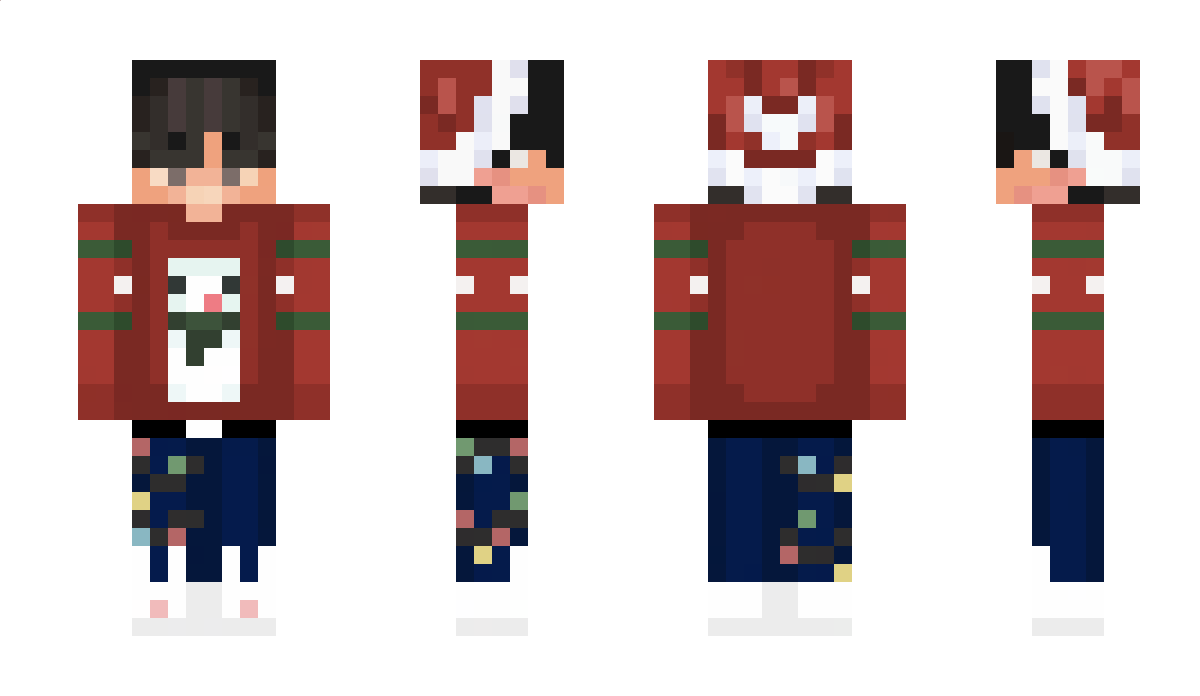 elytrasnetwork Minecraft Skin