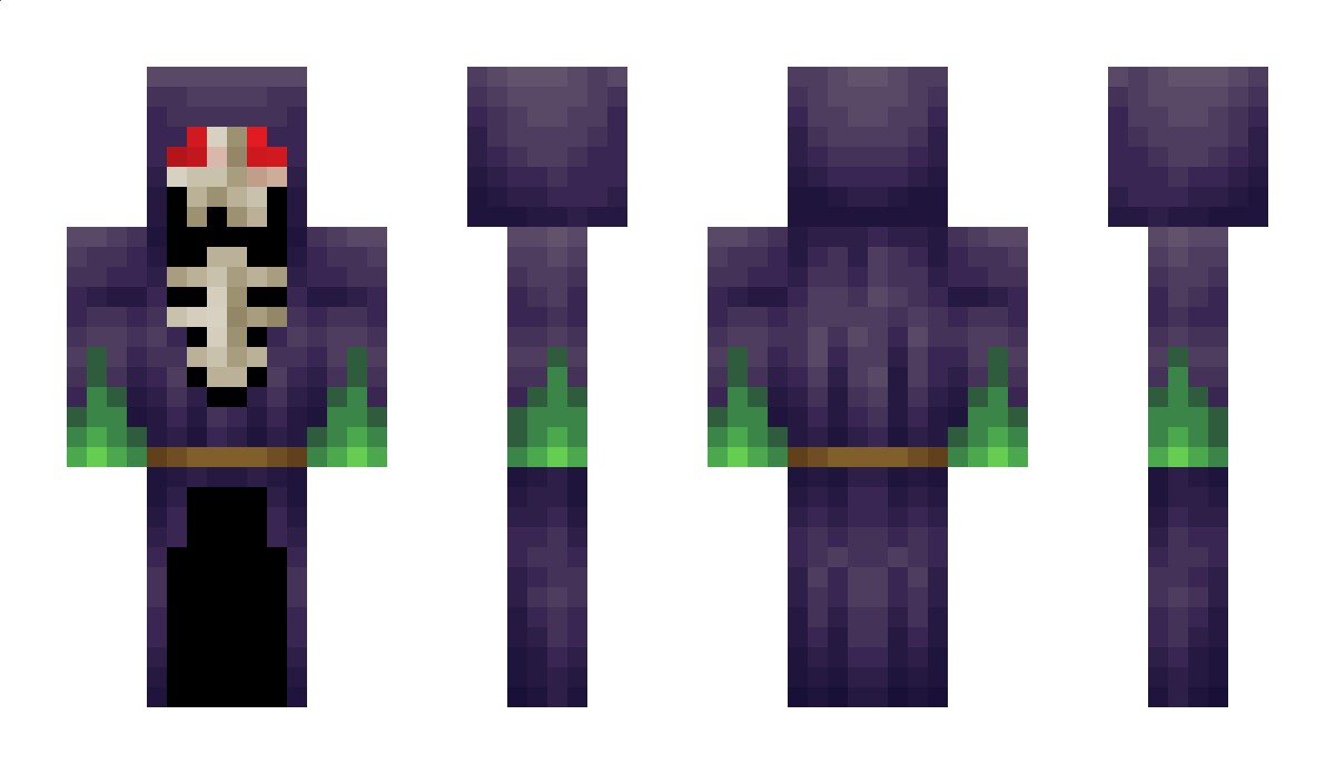 TOJTEK Minecraft Skin