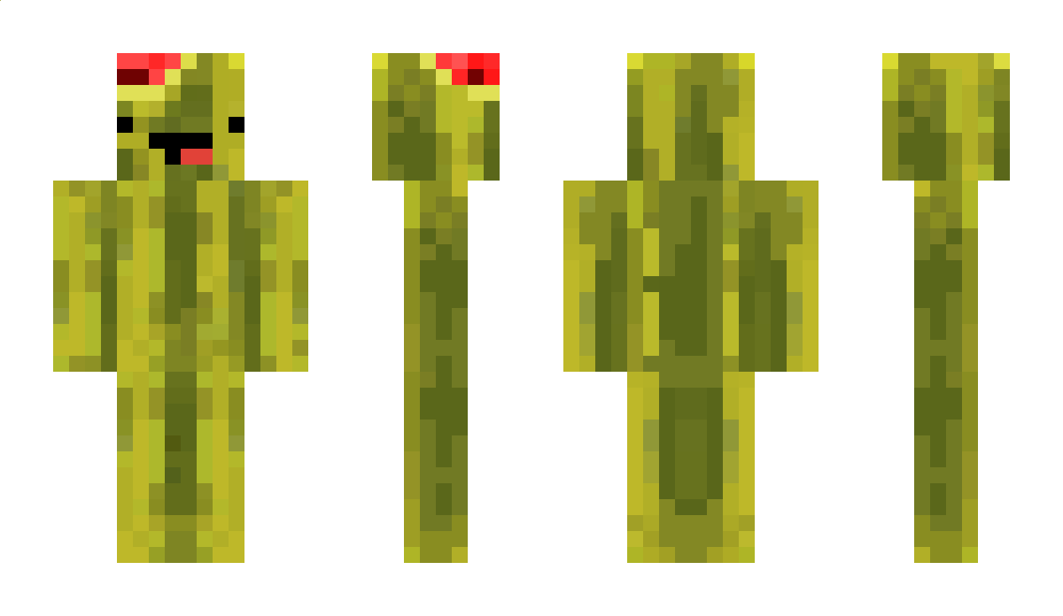 Melon24 Minecraft Skin