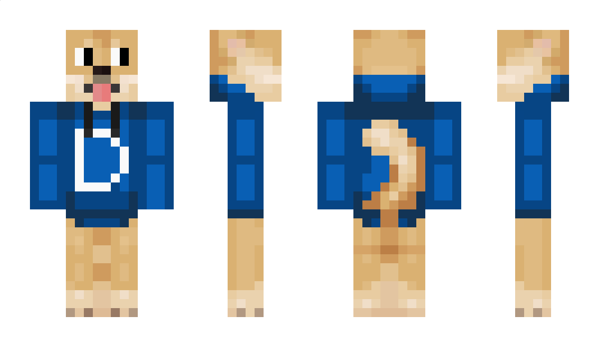 Stellr0ix Minecraft Skin