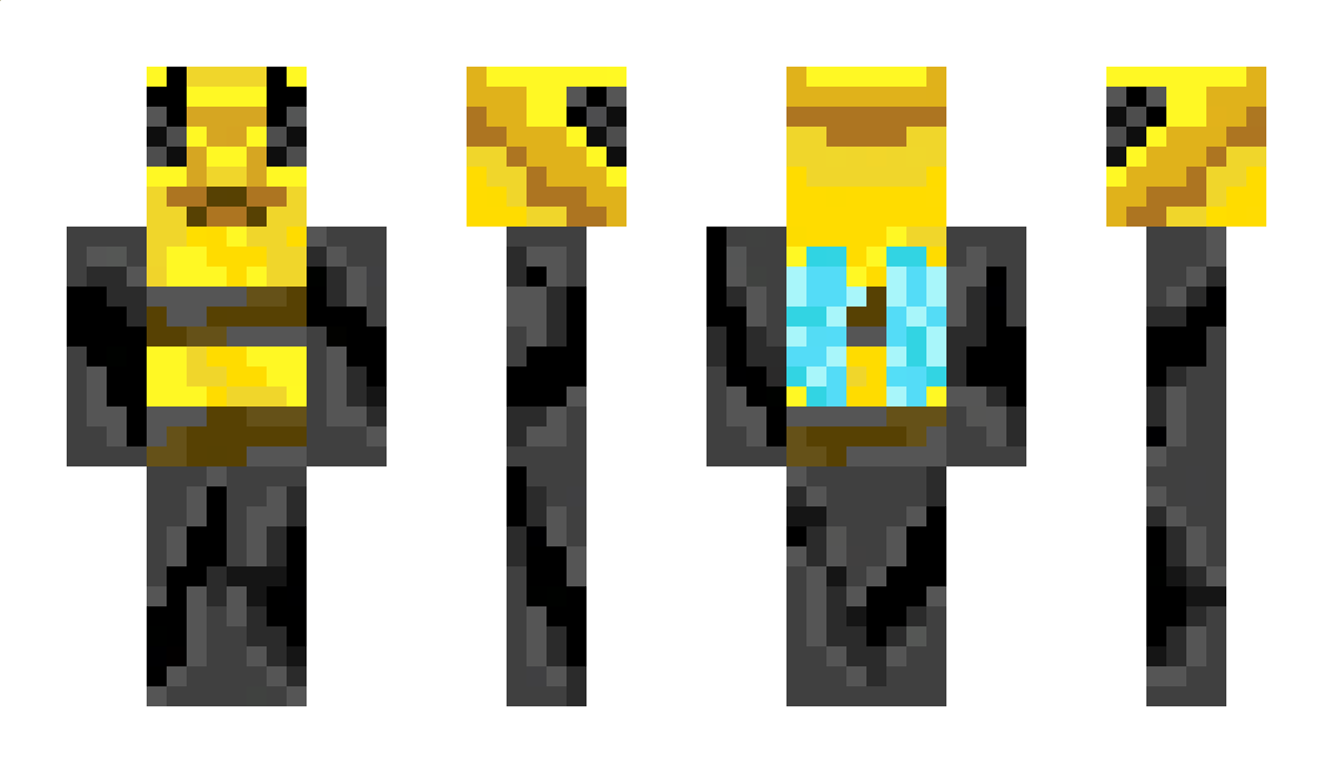 LordBee11 Minecraft Skin