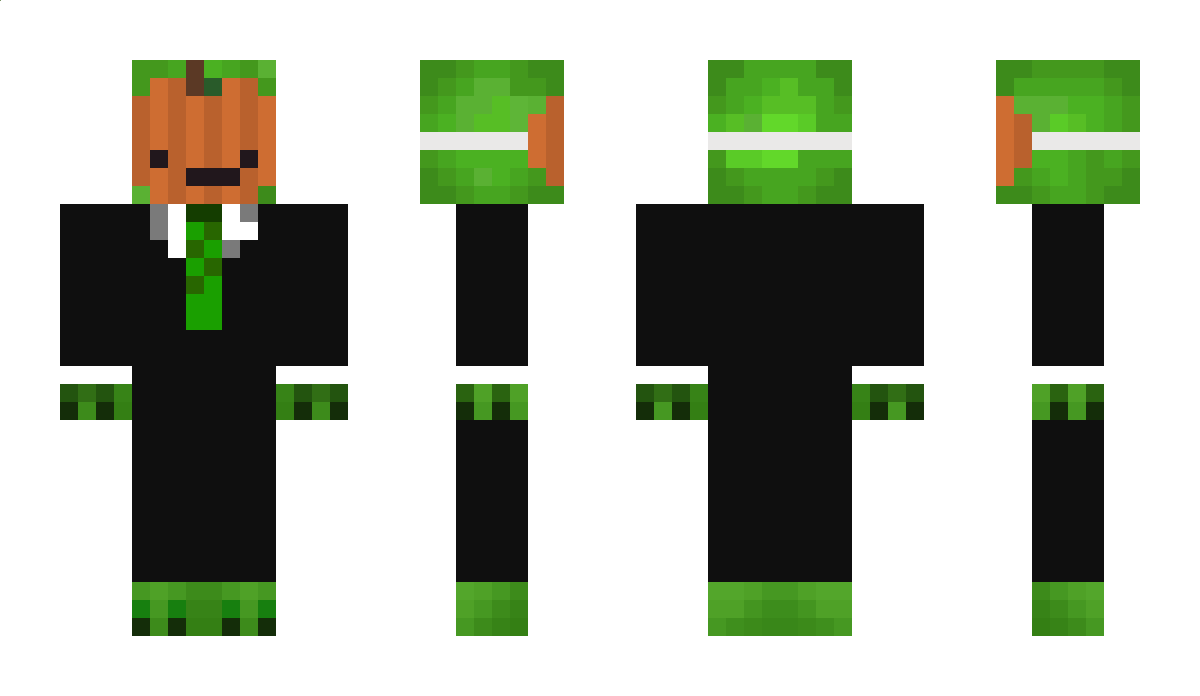 Tortlelugg Minecraft Skin