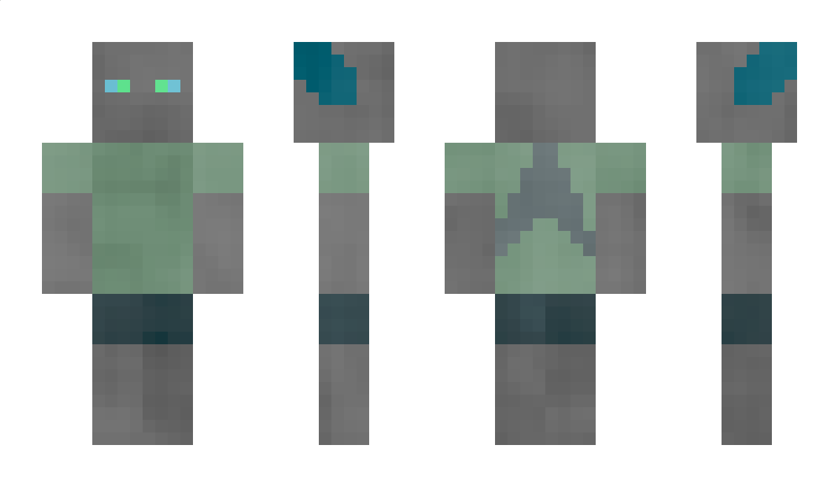 AccelShark Minecraft Skin