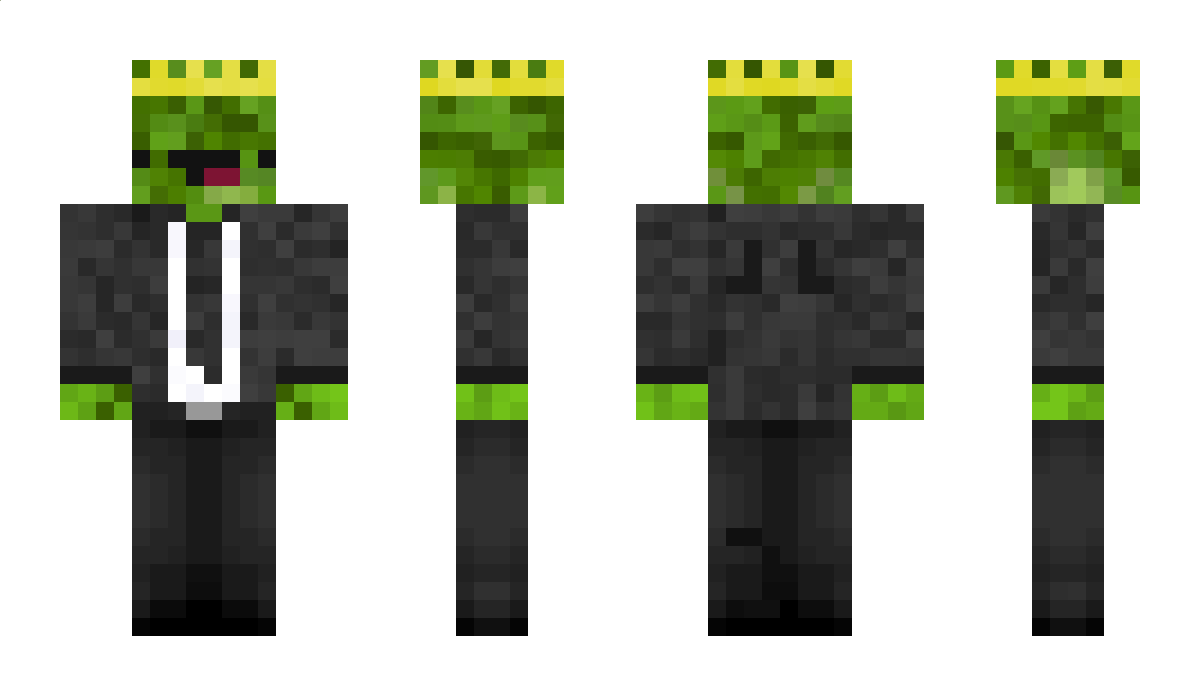 BinaryLettuce53 Minecraft Skin