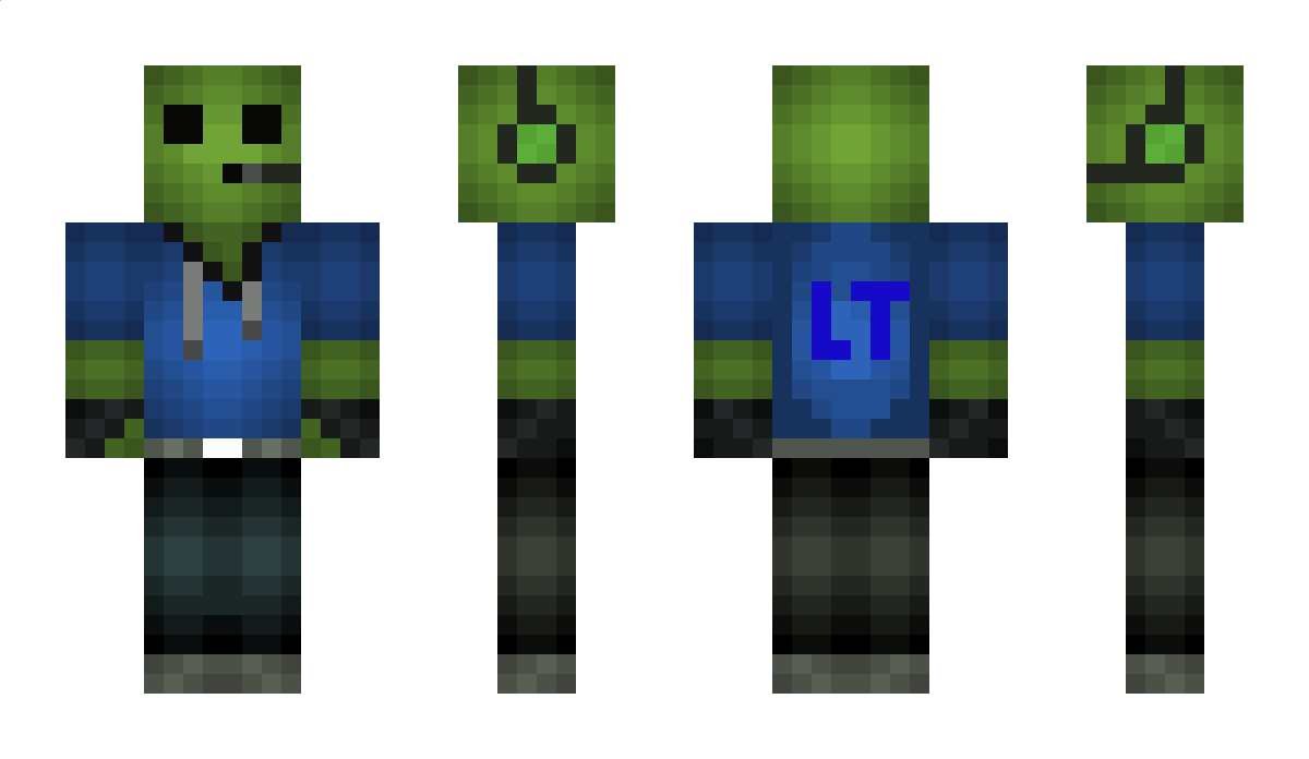 Lucatortuga9 Minecraft Skin