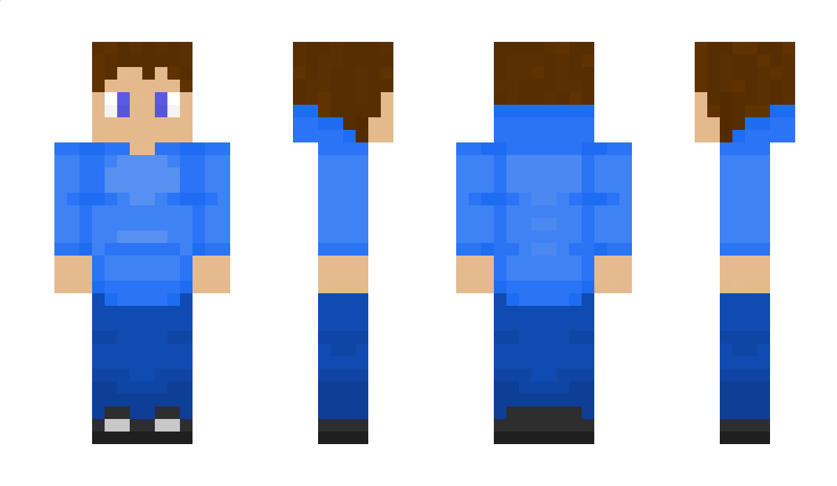 _PhoenixMC_ Minecraft Skin