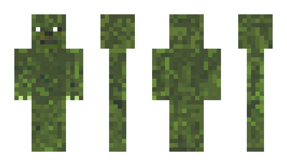 _Swat Minecraft Skin