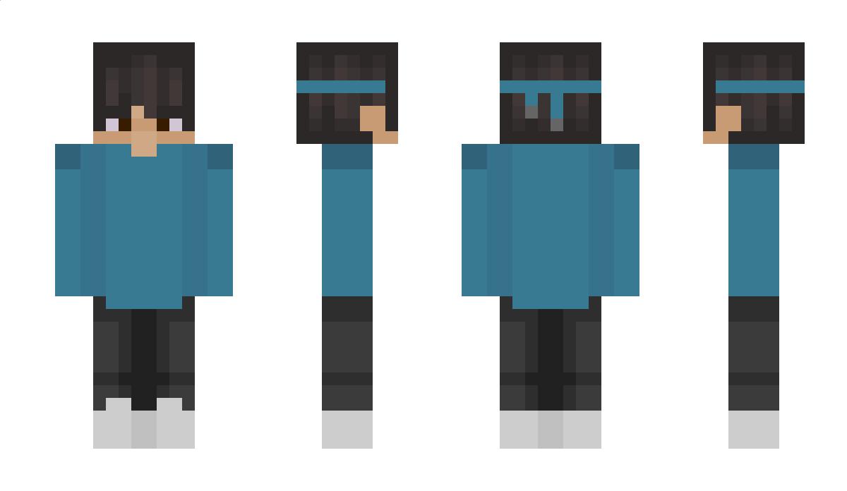 NumberSense Minecraft Skin