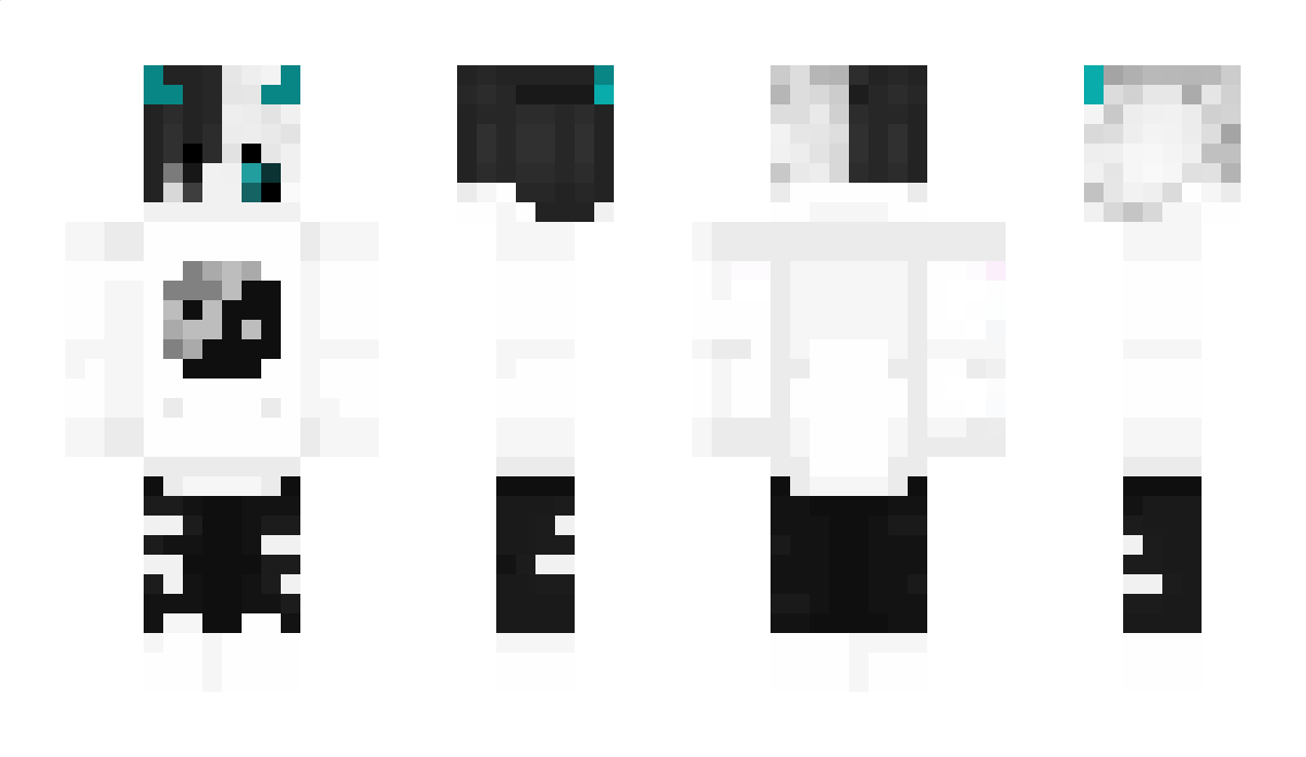 Melga_of_Steel Minecraft Skin