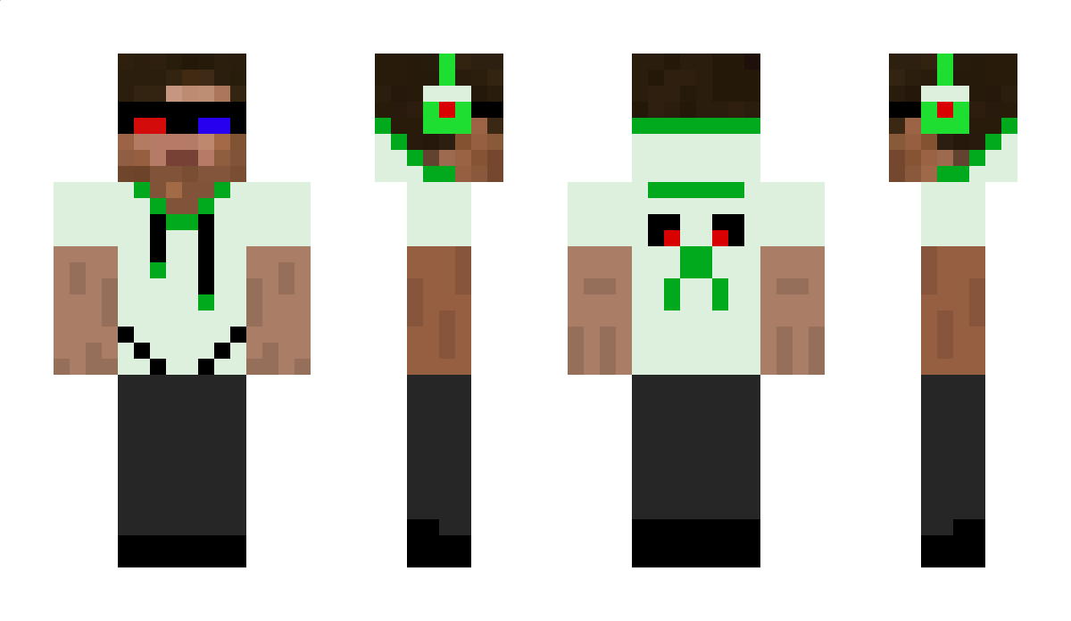 Acelot Minecraft Skin