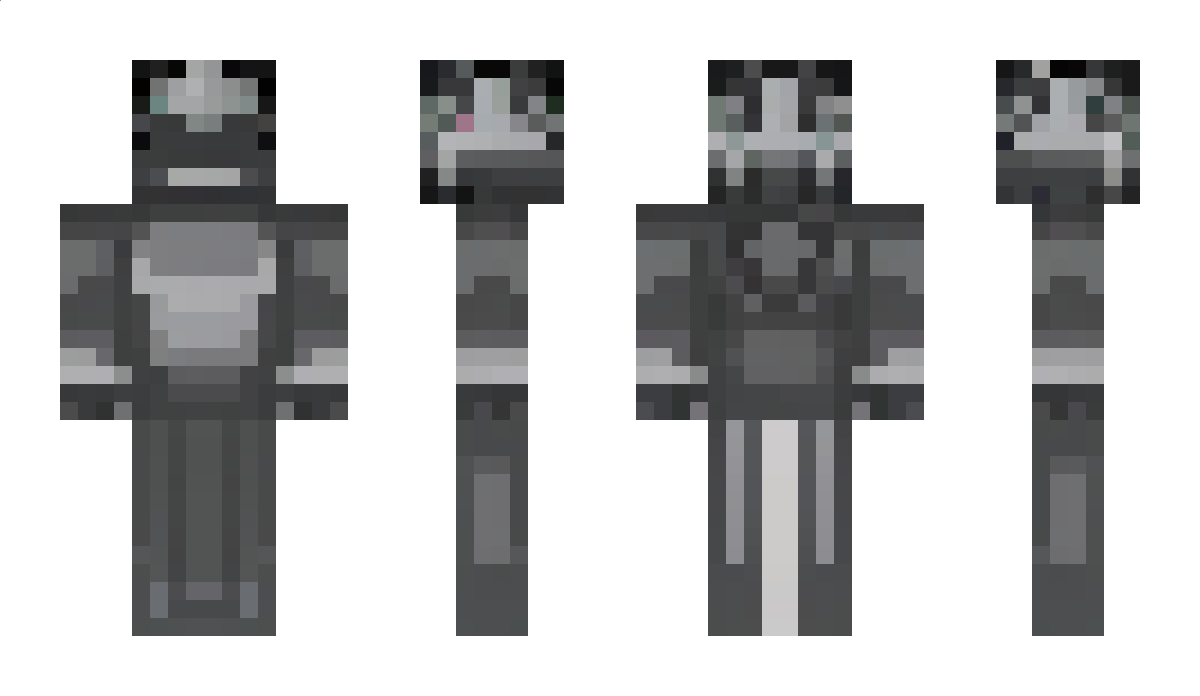 EnvyKatze Minecraft Skin