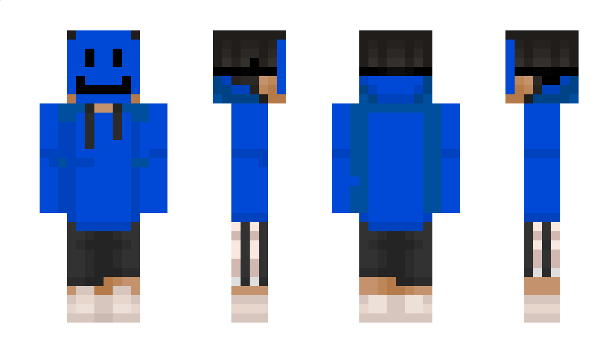 Misiopysio599 Minecraft Skin