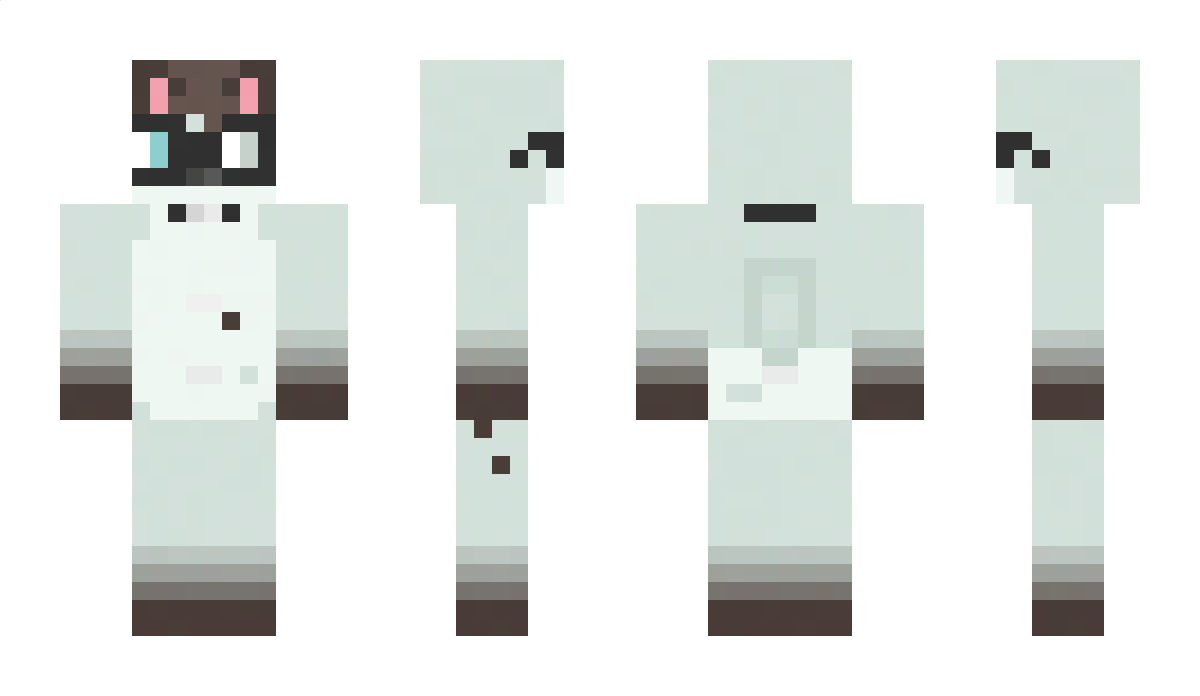 saltdad Minecraft Skin