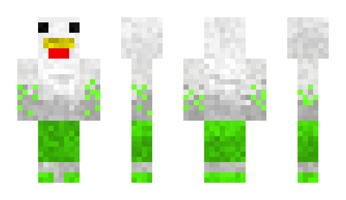 zozonzainu Minecraft Skin