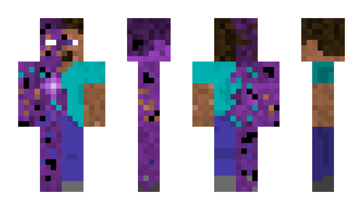 steve091208 Minecraft Skin