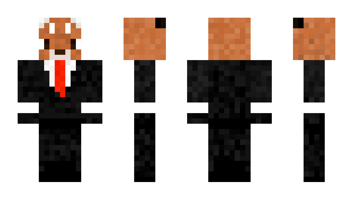 swjn Minecraft Skin