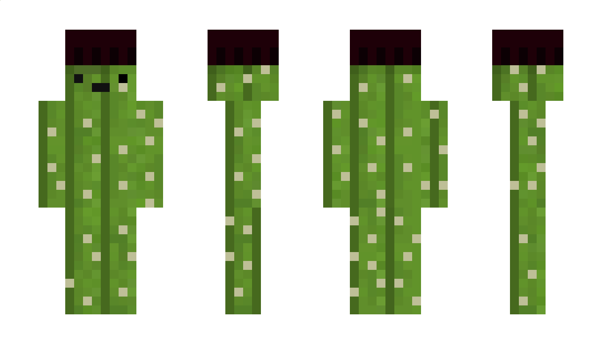 STARFISH433 Minecraft Skin