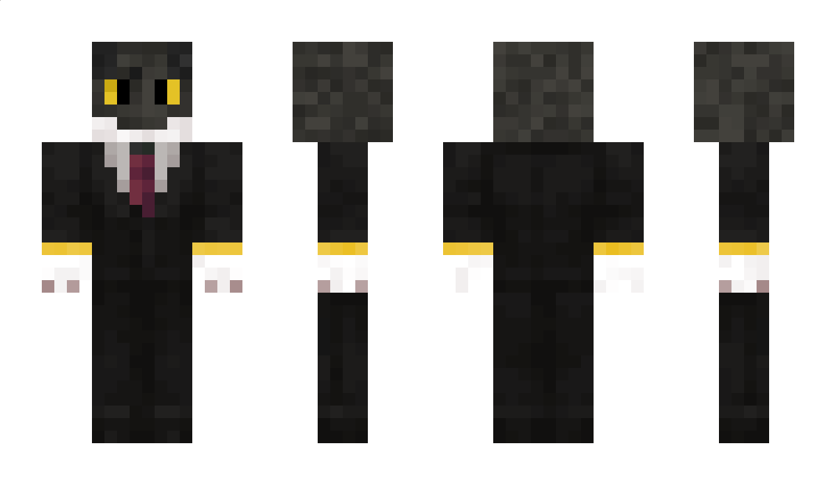 kot_internetowy Minecraft Skin