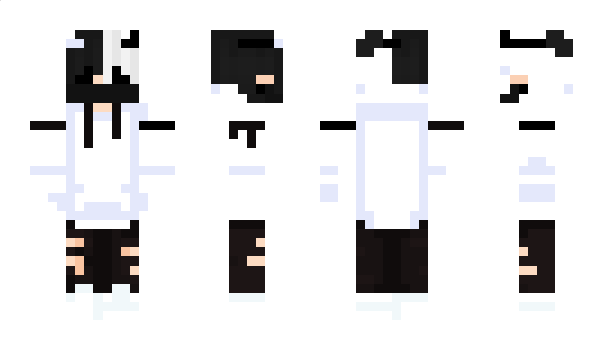 Nitroxy_341 Minecraft Skin