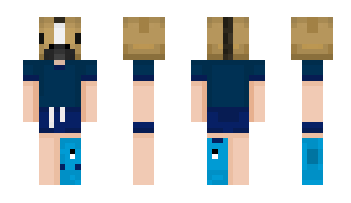 HorseSOLAFIDE Minecraft Skin